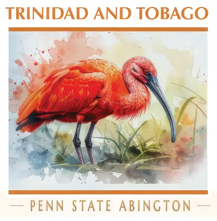 Trinidad and Tobago, Penn State Abington: watercolor of a scarlet ibis in the Caroni Swamp